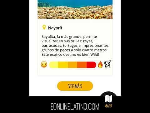 Concurso Wild On